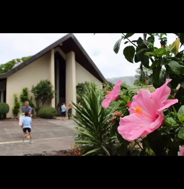 Mahalo for a wonderful event for Too Many Mangoes at Community Church of Honolulu this past Sunday, August 30! 

#communitychurchofhonolulu